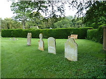 SY8093 : St Laurence, Affpuddle: churchyard (8) by Basher Eyre