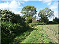 Field alongside Crockenhill Road