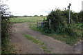 Footpath near Manor Farm