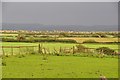 North Somerset : Grassy Fields