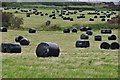 North Somerset : Grassy Field & Hay-Bales