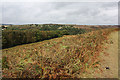 View to Darnholme