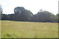 Floodplain of the River Wey