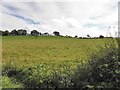 Rarone Townland