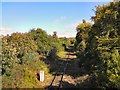 Cheshire Lines through Woodley