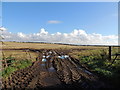 Farmland near Barnultoch