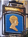 TQ3080 : Sign for The Princess of Wales, Villiers Street, WC2 by Mike Quinn