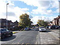 The Avenue - viewed from The Drive