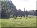 Moortown Golf Course - viewed from The Fairway