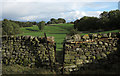NY9225 : Fields beyond dry stone wall with stile by Trevor Littlewood