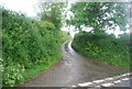 Road to Herring Street, Ford