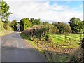 H7524 : Road at Drumhallagh by Kenneth  Allen