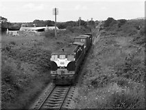 W9775 : Train approaching Killeagh by The Carlisle Kid