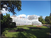 J3372 : The Palm House in the Botanic Gardens by David Smith