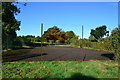 Mossy ball game court at Barton Stacey