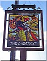 The Chestnut (formerly The Chestnut Tree) (2) - sign, 17 Lansdowne Road, Worcester