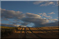 Sunlit Stubble off Kilgram Lane