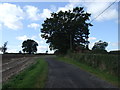 Track to Budbrooke Farm