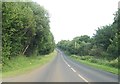 The A35 cutting through a wooded area between Pettigo and Kesh