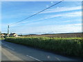 Farmland opposite Thorley Church