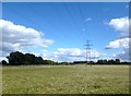 Field near Chippinghurst Manor