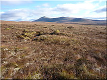 NC5028 : A fine day on Sutherland moorland by Peter Aikman