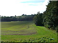 Bridleway to Stone Street