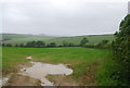 Devon countryside, Marber Cross