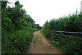 Footpath by Brook Hill