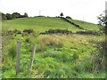 Beagh Townland