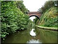 High Bridge from the west