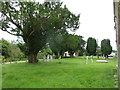 St Andrew, Bloxworth- trees in the churchyard