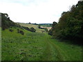 Bridleway from Great Shuttlesfield Farm