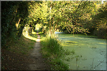 SK5838 : Grantham Canal and towpath by Richard Croft