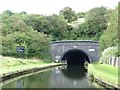 Southern portal, Netherton Tunnel