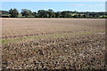Stubble field near Bevington