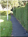 Footpath - Tynwald Mount