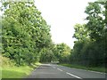 Treelined section of the Moorlough Road (A34)