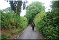 Lane from Allers Cross to Tanpits Cross