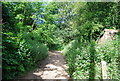 Bridleway passing Nore