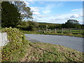 Footpath to Phillis Wood and Stubbs Copse