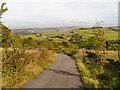 Track Between Herod Farm and Lees Hall Farm