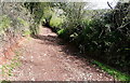 Byway onto Wootton Common