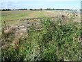 View from Seaholme Road