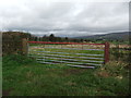 NY6034 : Painted gate by David Brown