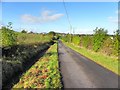 Dervaghroy Road, Laragh