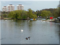 Lake, Harrow Lodge Park