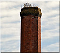 Former mill chimney, Muckamore (2)