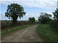 Lane towards Lower Bassingthorpe