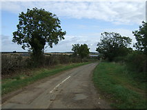 SK9628 : Lane towards Lower Bassingthorpe by JThomas